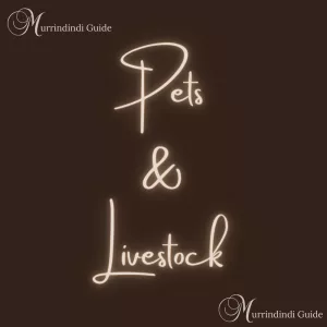 Pets & Livestock